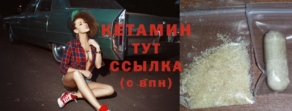 сатива Дмитриев
