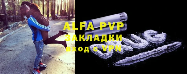 гашик Гусев
