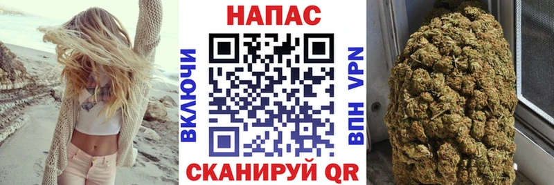 Каннабис сатива  где купить   Светлый 